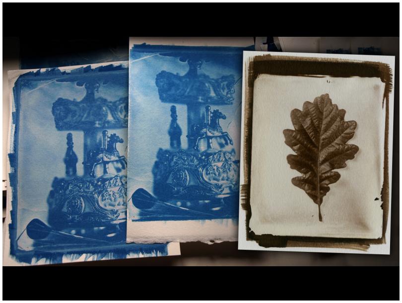 Focus On: Cyanotype & Van Dyke Brown Printing Focus On: Cyanotype & Van Dyke Brown Printing