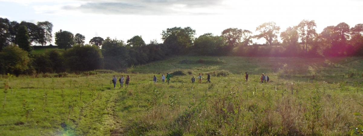 Seppy's Wood in County Armagh.  Photo courtesy of Dr Sally Walmsley