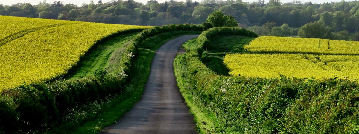 Country Road