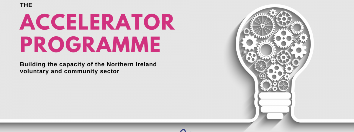 The Accelerator Programme graphic