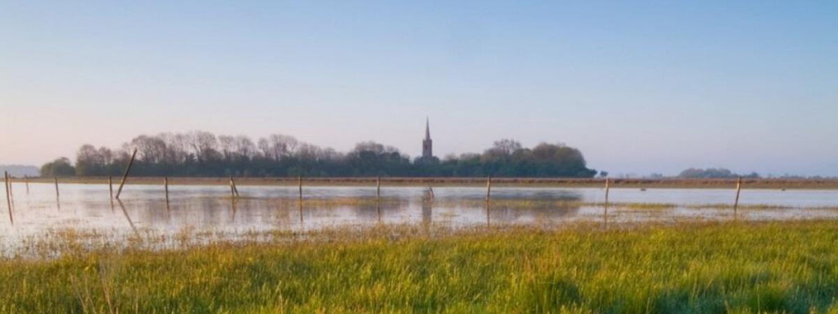 Lough Neagh Partnership Hosts Free Spring Online Talks Series