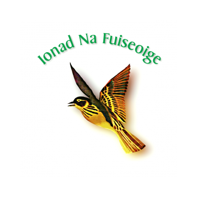 Ionad Na Fuiseoige