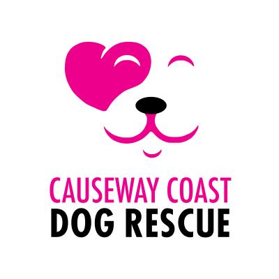 causeway coast dog rescue 