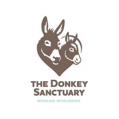 The Donkey Sanctuary Assisted Therapy Centre Belfast