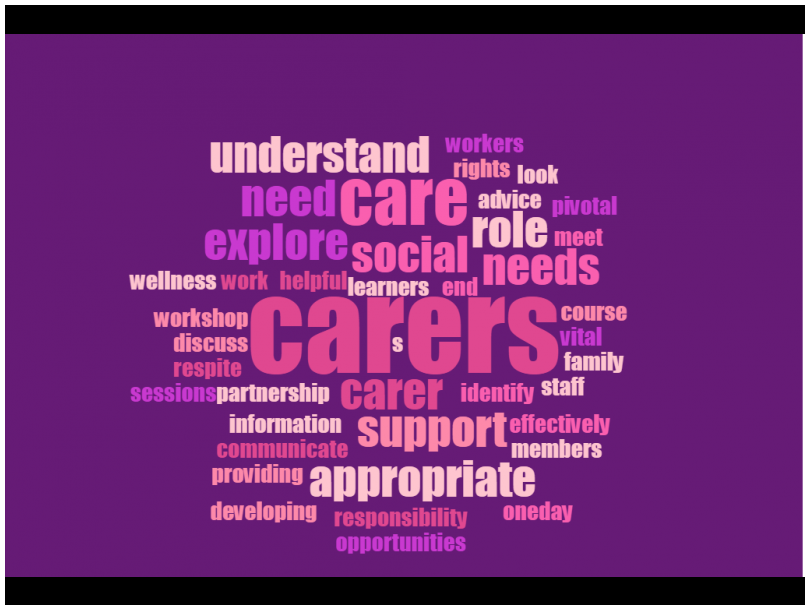 Meeting the Needs of Carers