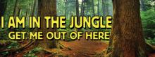 The Jungle NI Community & Charity Reward and Fundraising Days Out