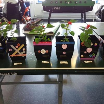 Young people enjoy potting plants to celebrate World Environment Day 